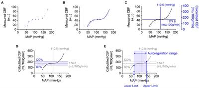 Impaired Cerebral Autoregulation After Subarachnoid Hemorrhage: A Quantitative Assessment Using a Mouse Model